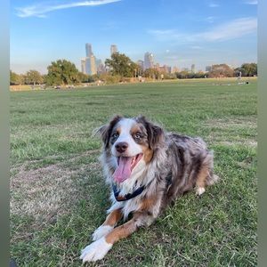 Meet your Posher, Teri